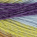 Australis Lanas Katia 204
